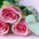 image of Pink roses and wooden heart